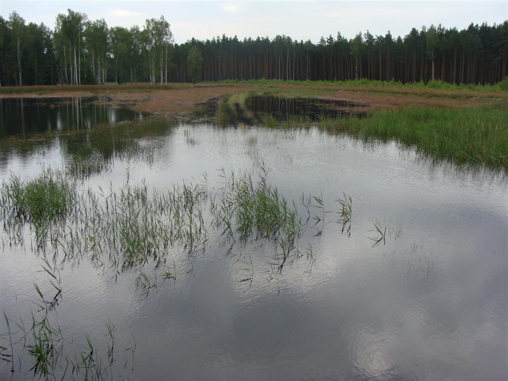 Zbiornik "Orzechowy 1"