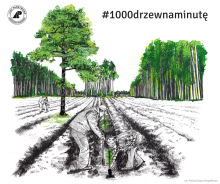 „1000 drzew na minutę” w Nadleśnictwie Ruszów