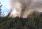 Pożar w leśnictwie Toporów