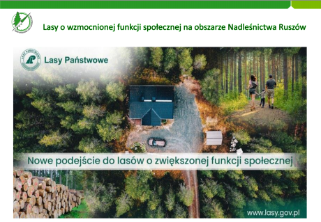 Konsultacje dotyczące lasów o wzmocnionej funkcji społecznej
