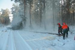 Pozyskanie&#x20;drewna&#x20;zimą